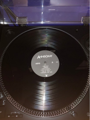 Annisokay &ndash; Arms - фото 2