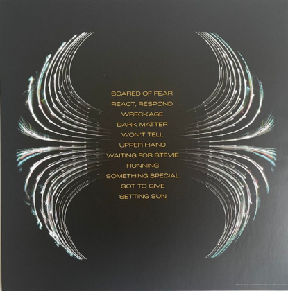 Pearl Jam &ndash; Dark Matter - фото 2