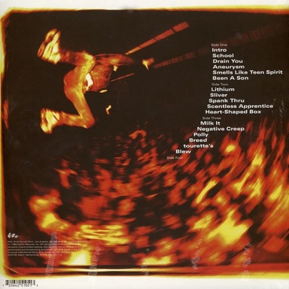 Nirvana &ndash; From The Muddy Banks Of The Wishkah - фото 2