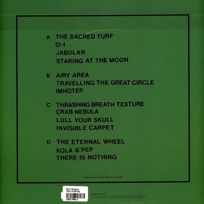 Ozric Tentacles &ndash; There Is Nothing - фото 2