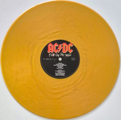 AC/DC &ndash; Fly On The Wall - фото 3