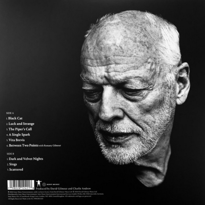 David Gilmour &ndash; Luck And Strange - фото 2