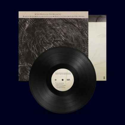 Cocteau Twins &ndash; The Moon And The Melodies - фото 3