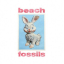 Beach Fossils &ndash; Bunny - фото 1