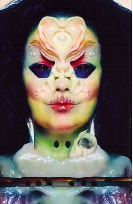 Bjork - BoX Set - фото 4