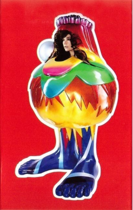 Bjork - BoX Set - фото 7