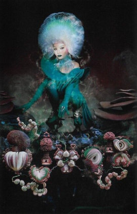 Bjork - BoX Set - фото 10