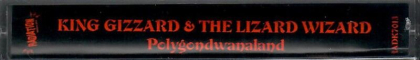 King Gizzard &amp; The Lizard Wizard &ndash; Polygondwanaland - фото 2