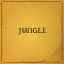Jungle &ndash; For Ever - фото 1