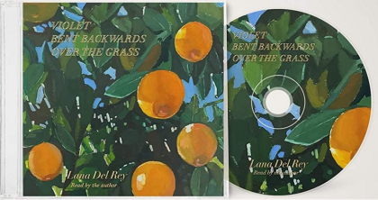 Lana Del Rey &ndash; Violet Bent Backwards Over The Grass - фото 2