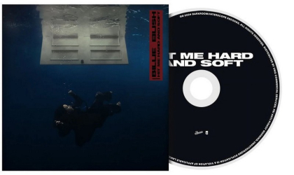 Billie Eilish &ndash; Hit Me Hard And Soft - фото 3