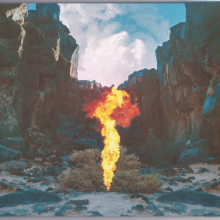 Bonobo – Migration