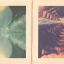 Bonobo &ndash; The North Borders - фото 5