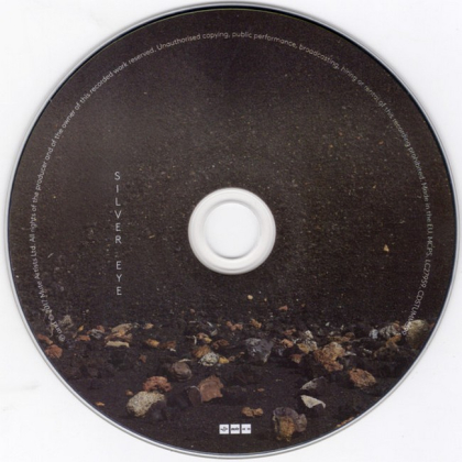 Goldfrapp &ndash; Silver Eye - фото 3
