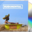Rudimental &ndash; Toast To Our Differences - фото 2