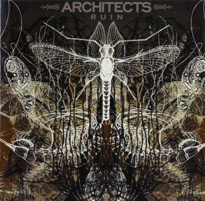 Architects &ndash; Ruin - фото 1