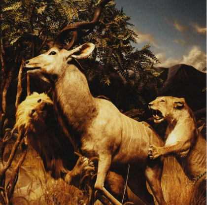 Interpol &ndash; Our Love To Admire - фото 1