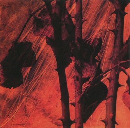 Tiamat &ndash; Wildhoney - фото 3