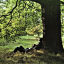 Plastic Ono Band &ndash; Plastic Ono Band - фото 1
