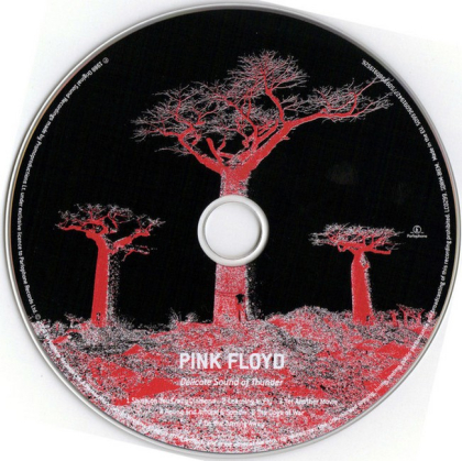 Pink Floyd &ndash; Delicate Sound Of Thunder - фото 5