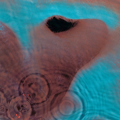 Pink Floyd &ndash; Meddle - фото 1
