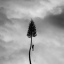 Manchester Orchestra &ndash; A Black Mile To The Surface - фото 1