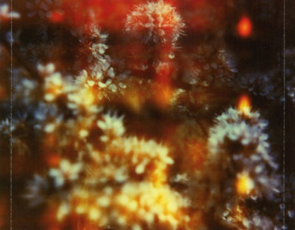 The Horrors &ndash; Skying - фото 4