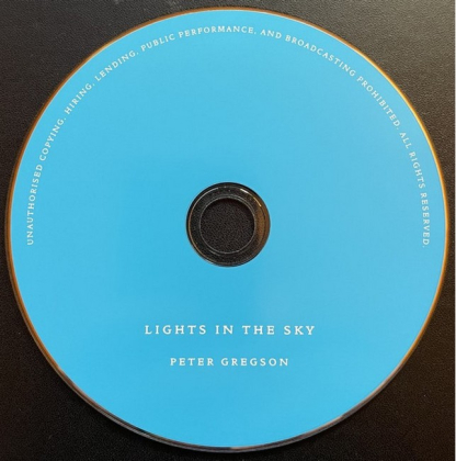 Peter Gregson &ndash; Lights In The Sky - фото 3
