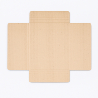 Гофрована картонна коробка для платівок