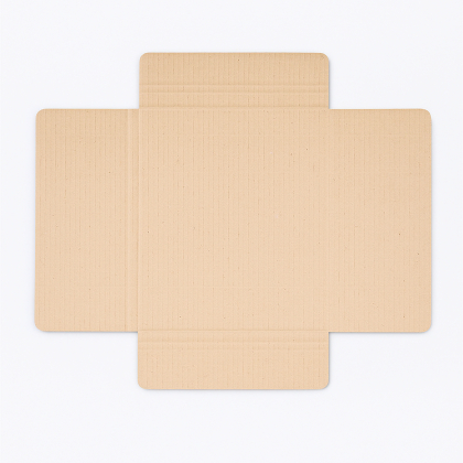 Гофрована картонна коробка для платівок / 50 шт. - фото 1 Гофрована картонна коробка для платівок / 50 шт. - фото 1