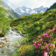 Alps - Nature and Mountains - фото 1