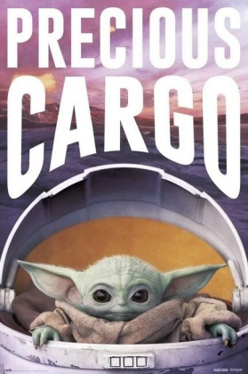 Star Wars The Mandalorian - Precious Cargo - фото 1