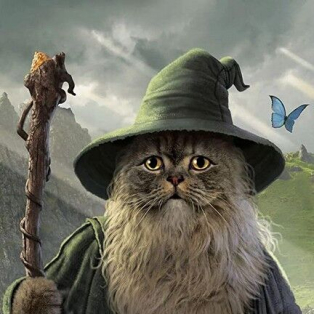 Catdalf