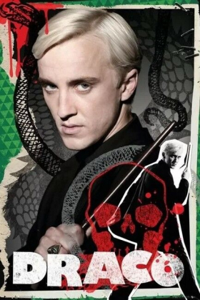 Harry Potter - Draco - фото 1