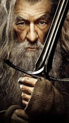 Lord of the Rings  - Gandalf - фото 1