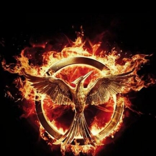 Hunger Games - Reprodrozd