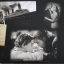James Horner &ndash; Titanic - фото 3