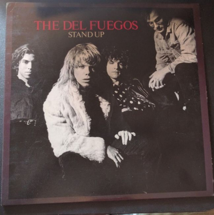 The Del Fuegos &ndash; Stand Up - фото 1