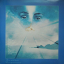 Devadip &ndash; Oneness (Silver Dreams~Golden Reality)  - фото 3