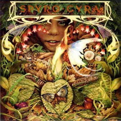 Spyro Gyra &ndash; Morning Dance - фото 1