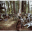 The Star Wars Archives. 1977-1983. 40th Ed. - фото 8