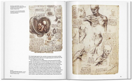 Leonardo - фото 6 Leonardo - фото 6