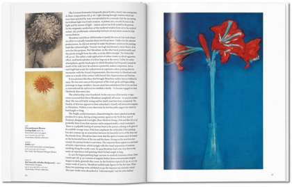 Mondrian - фото 5 Mondrian - фото 5