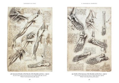 Leonardo. The Complete Drawings - фото 4 Leonardo. The Complete Drawings - фото 4