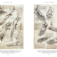 Leonardo. The Complete Drawings - фото 4 Leonardo. The Complete Drawings - фото 4