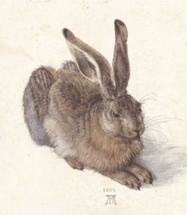 Albrecht Durer - фото 4
