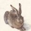 Albrecht Durer - фото 4