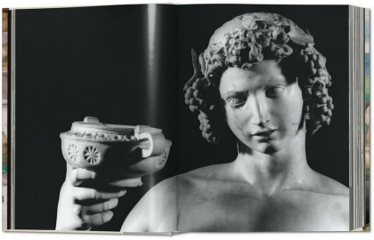 Michelangelo. The Complete Works. Paintings, Sculptures, Architecture - фото 3 Michelangelo. The Complete Works. Paintings, Sculptures, Architecture - фото 3