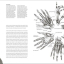 Anatomy for the Artist - фото 7