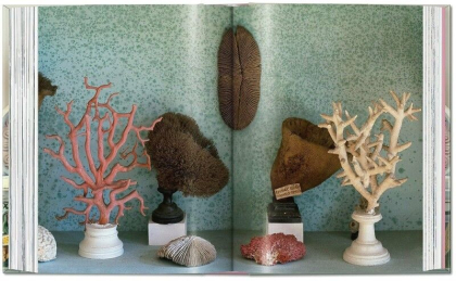 Massimo Listri. Cabinet of Curiosities. 40th Ed. - фото 6